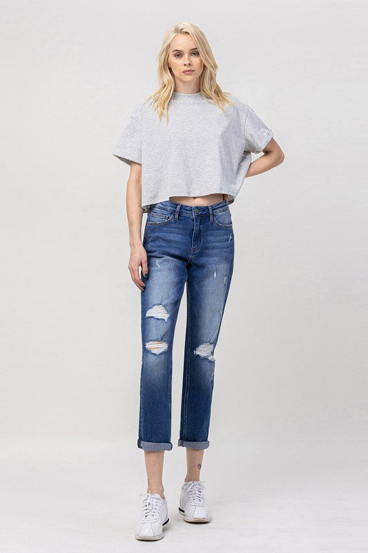 Dreamland Plus Distressed Stretch Boyfriend Jeans by Vervet